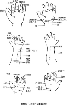 上肢部穴位及操作图