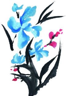 藍色背景中國水彩畫花图片