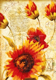 花卉油画 ( 50厘米 X 70厘米 )