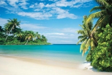 秀丽大自然风景夏日蓝天海滩椰树图片