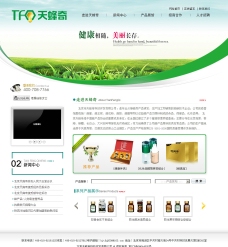 中文模板天蜂奇中文商业网站模板图片
