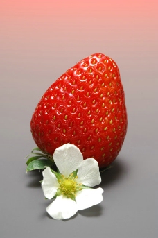 水果节草莓新鲜水果高清细节素材