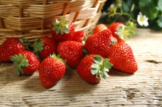 水果节草莓高清素材新鲜水果细节