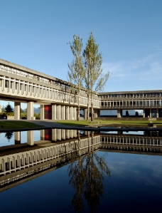 英格兰萨里大学 学校后院图片