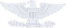 军队徽章0021