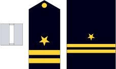 军队徽章0067