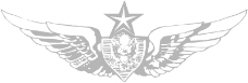 军队徽章0121