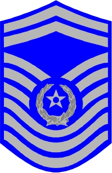 军队徽章0231