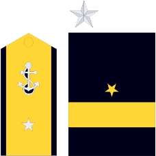 军队徽章0071