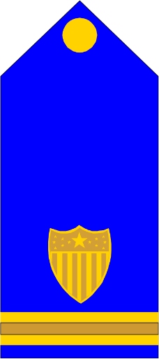军队徽章0132