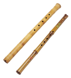 传统弦器乐器0036