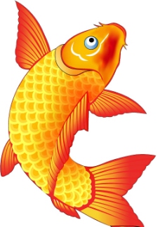 中国传统福鱼图片