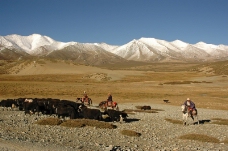 西藏人文0043