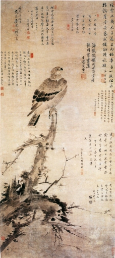 山水花鸟0064