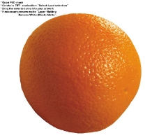 橙子特写0039