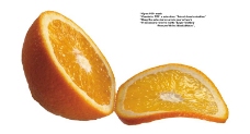 橙子特写0009