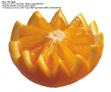 橙子特写0043