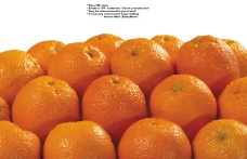 橙子特写0029