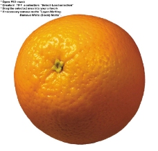 橙子特写0034