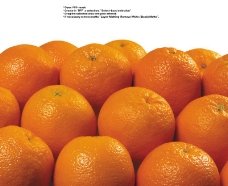 橙子特写0028
