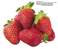 草莓特写0038
