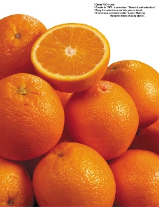 橙子特写0032