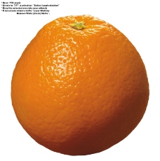 橙子特写0033