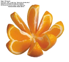 橙子特写0045