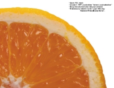 橙子特写0023