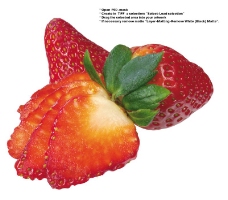 草莓特写0044