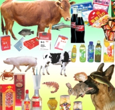 动物食品动物副食品图片