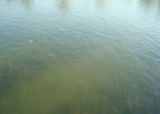 人工湖水面图片