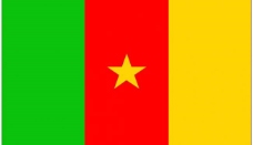 喀麦隆国旗图片