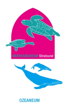 乌龟 海豚 动物 矢量图图片