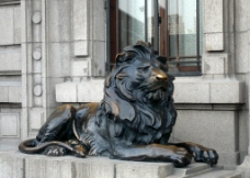 上海外滩汇丰银行前的铜狮子图片