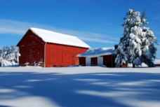 雪地上的红房子图片