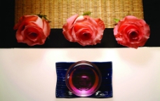 玫瑰精油图片