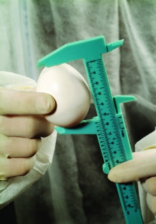 鸡蛋测量图片