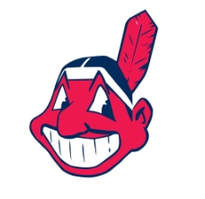 美国职棒联盟logo图片