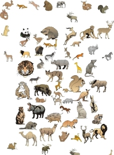 野生动物集合图片