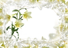 白色花纹花边百合花相框