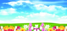 清新的花丛蓝天草地展板背景图片