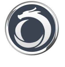 申龙汽车新logo图片